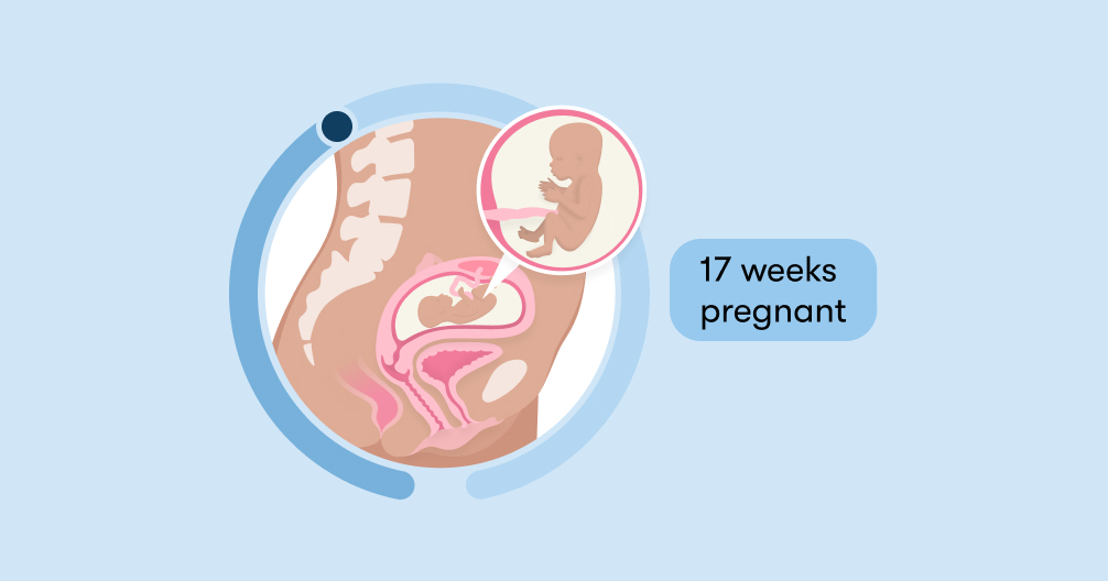 17 weeks pregnant: Symptoms, tips, baby development